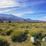 Vacant Land Riverside County