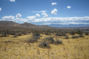 Vacant land in San Bernardino county