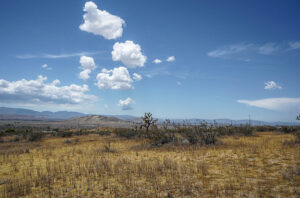 Vacant land in Los Angeles county